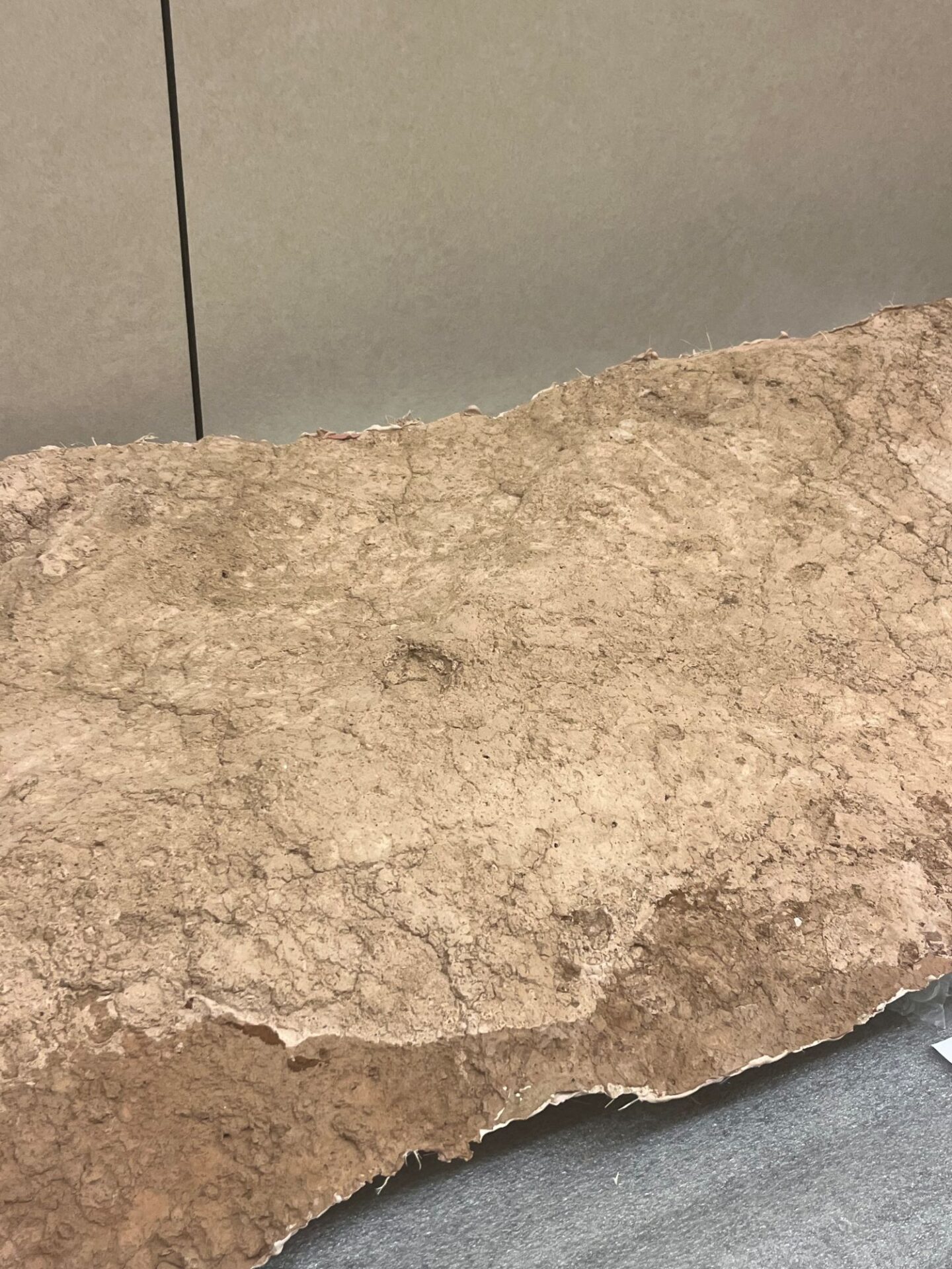 Plaster cast in the Himdag Ki repository.