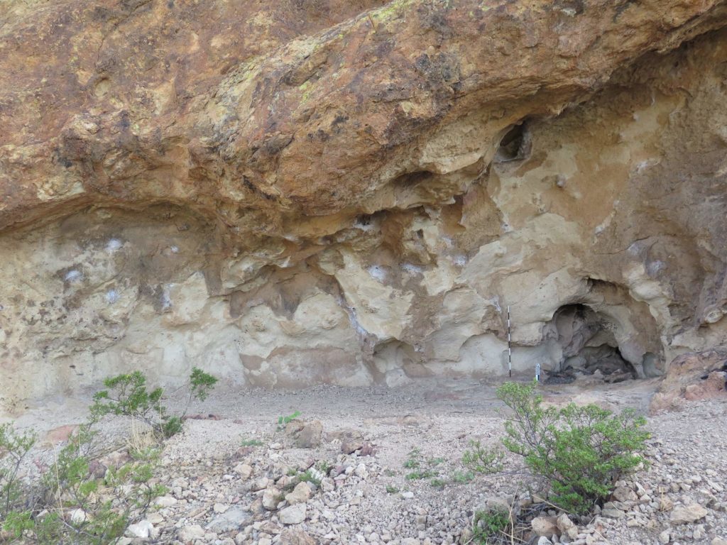 Crevices at this rock shelter were caked with climbing chalk. Image: Shannon Cowell