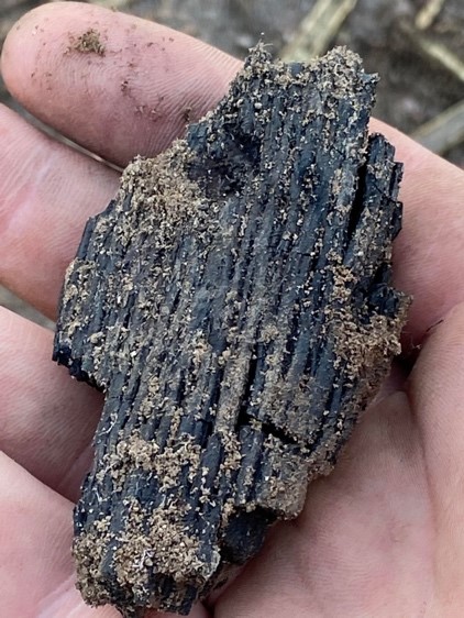 Image shows a hand holding a palm-sized chunk of wood charcoal recovered from an excavation unit.