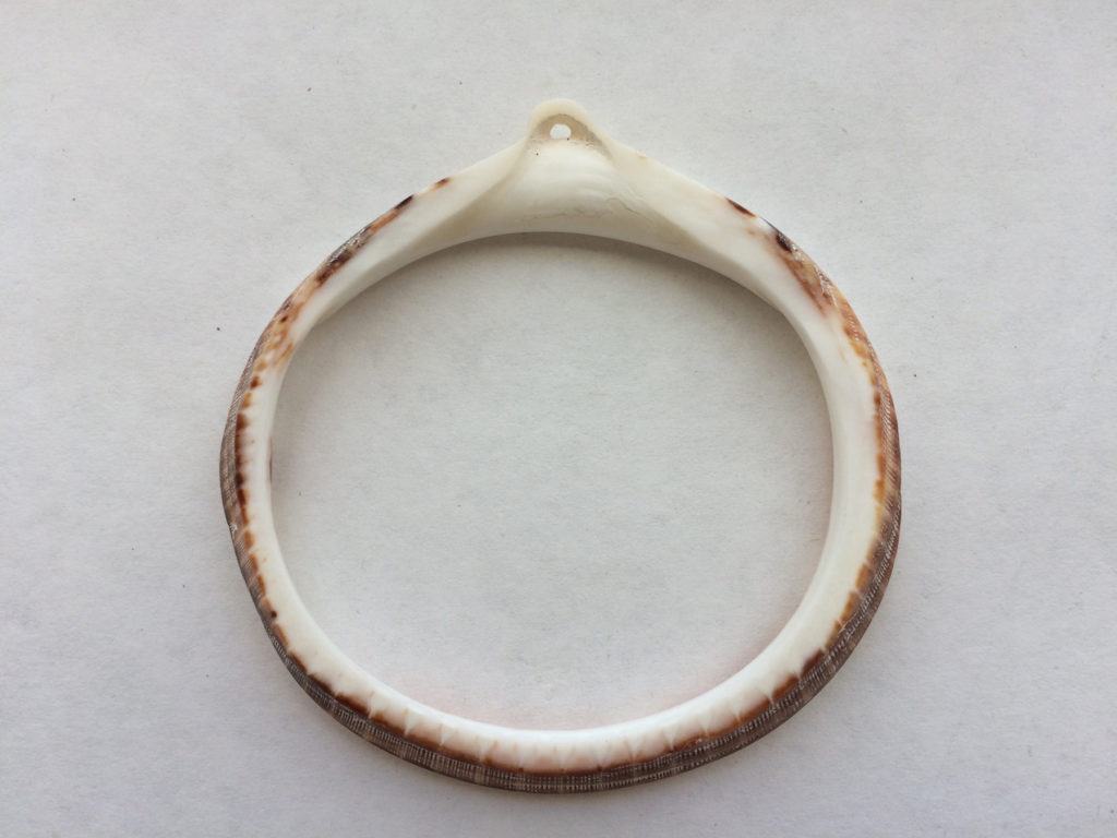 Finished Shell Bracelet