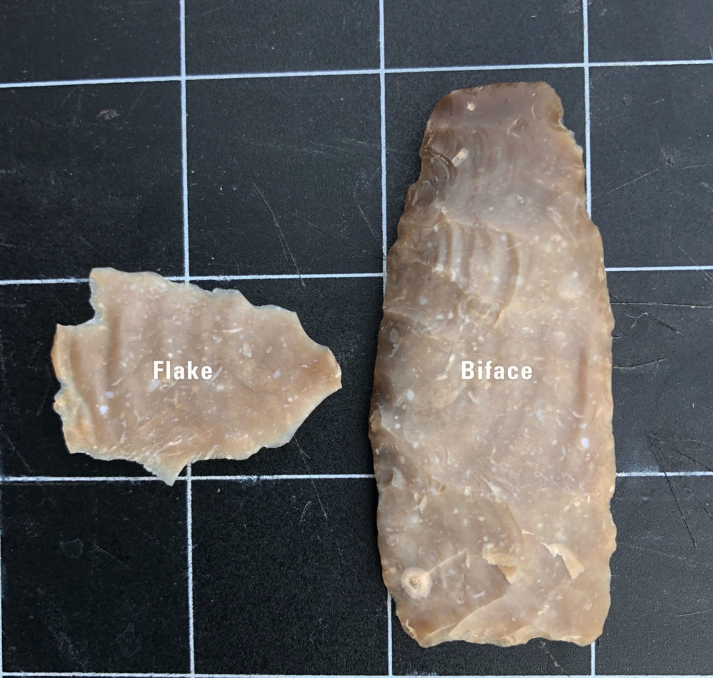This biface and flake show the ripples of the flake energy quite nicely. To create bifaces, most flaking is done from the lateral margins.