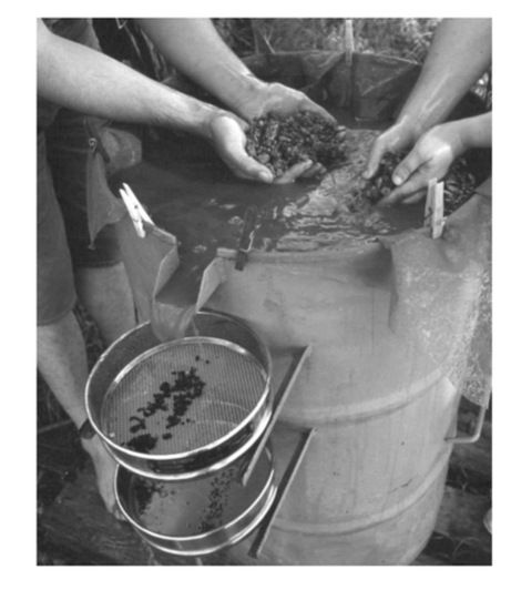 Image shows the hands of two students in the water at the surface a a large barrel. They are holding sediment. Watrfrom the barrel flows out of a spout into a series of graded sieves.