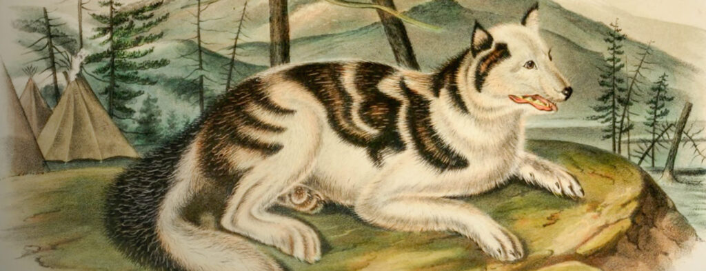 Looking Forward to 2026