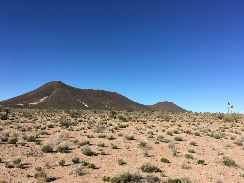 Lowlands near Black Mountain