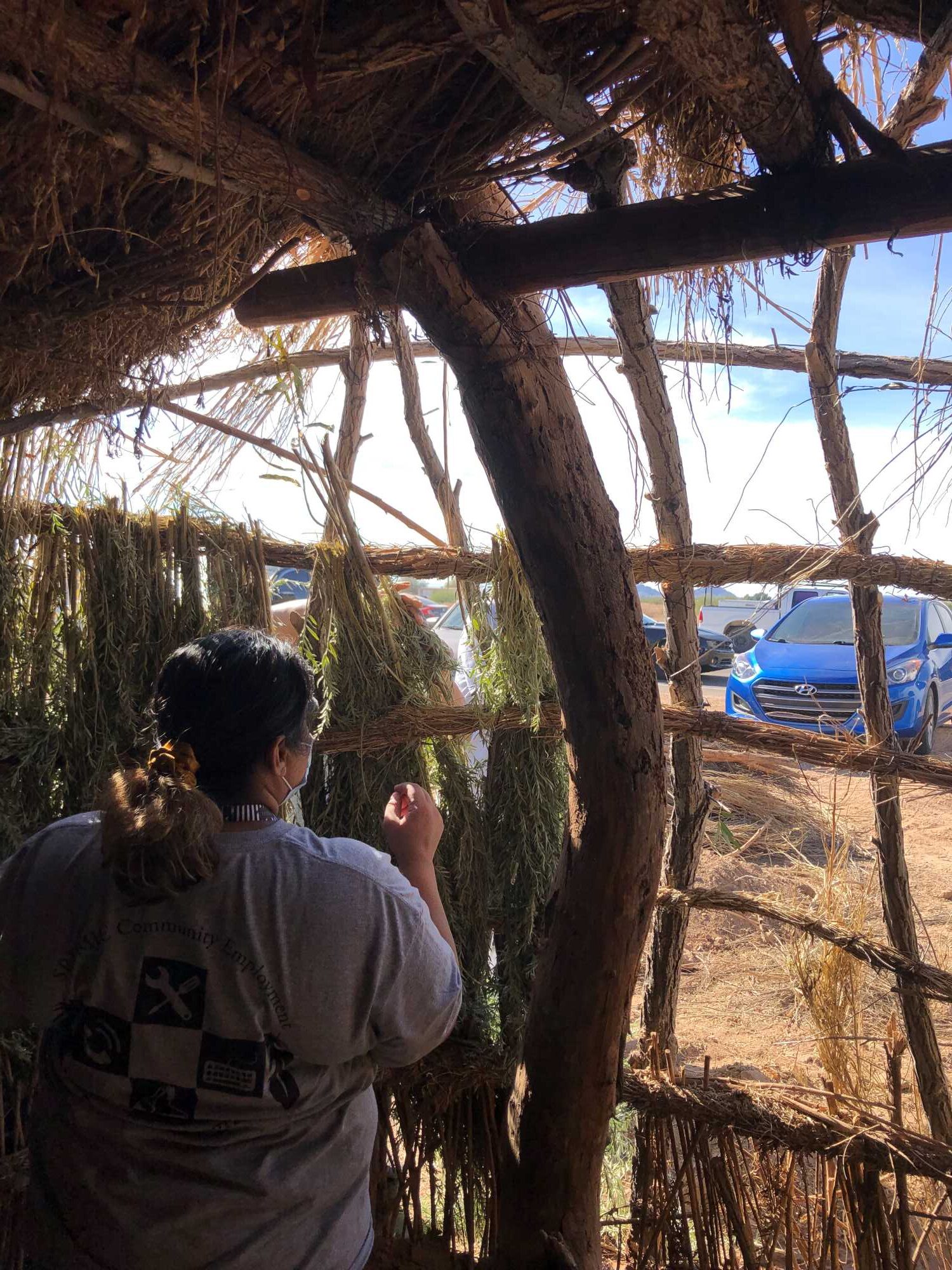 A woman is standing inside the pithouse with her back to the camera. She is weaving fresh arrowweed between the posts and stringers.