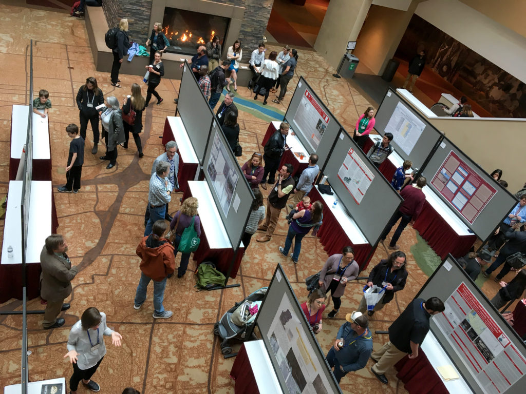 The poster session from above.