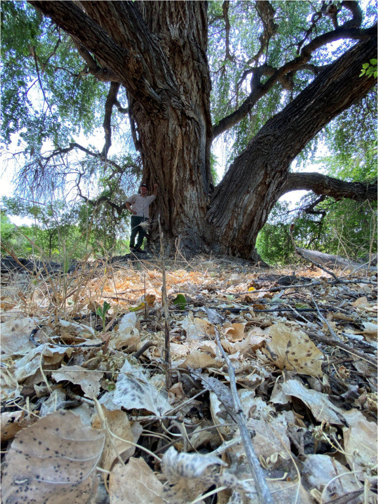 Gila River Farm Site