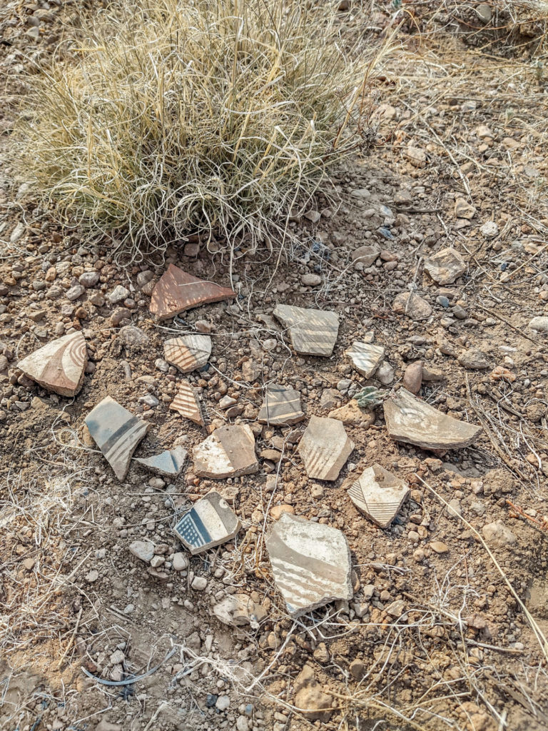 Sherds from the Field School